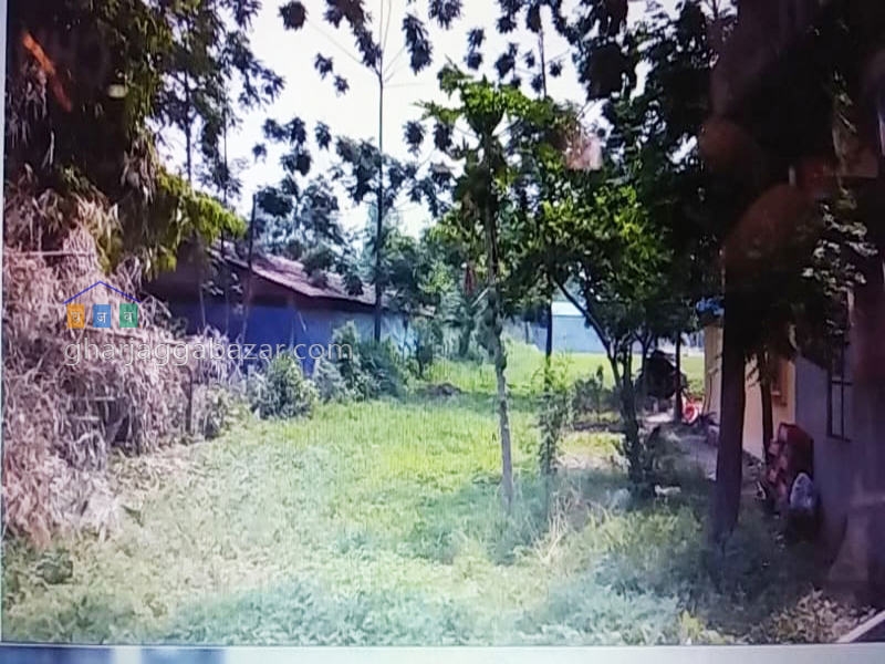 Land on Sale at Narayangadh